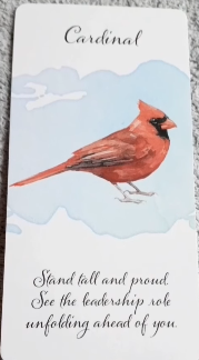 Divine Feather Messenger